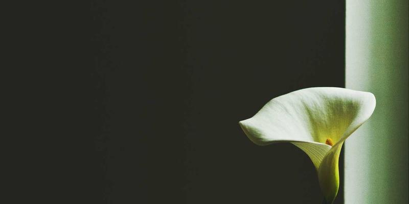 从桥梁到引擎：行业协会如何通过会员管理与政策咨询驱动产业链协同升级