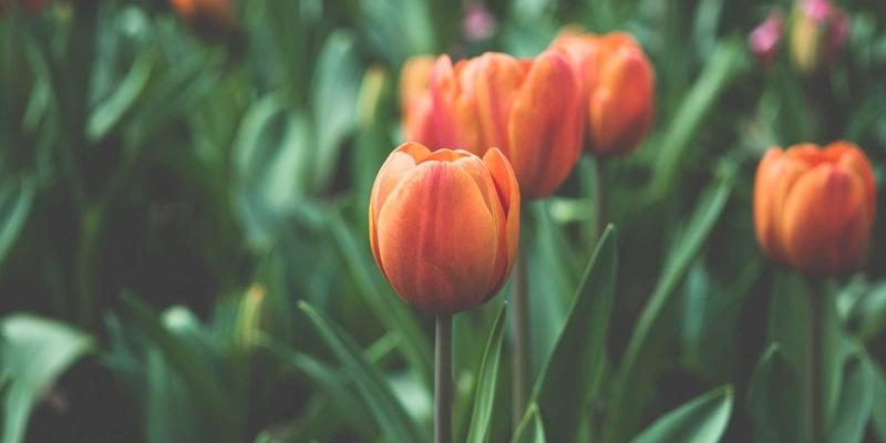 破局成长：行业组织如何通过活动策划与交流赋能中小企业